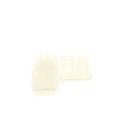 Delonghi EC9335BK Espresso Machine Expansion Chamber